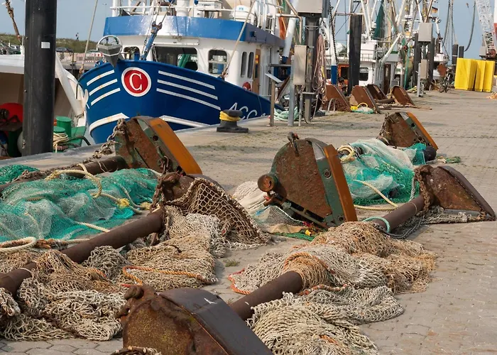 Nyaraló Ferienhaus-schirmqualle *
